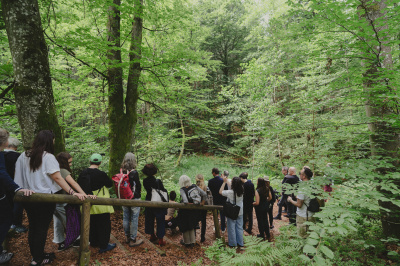 Foto: Philipp Schulz - boxquadrat