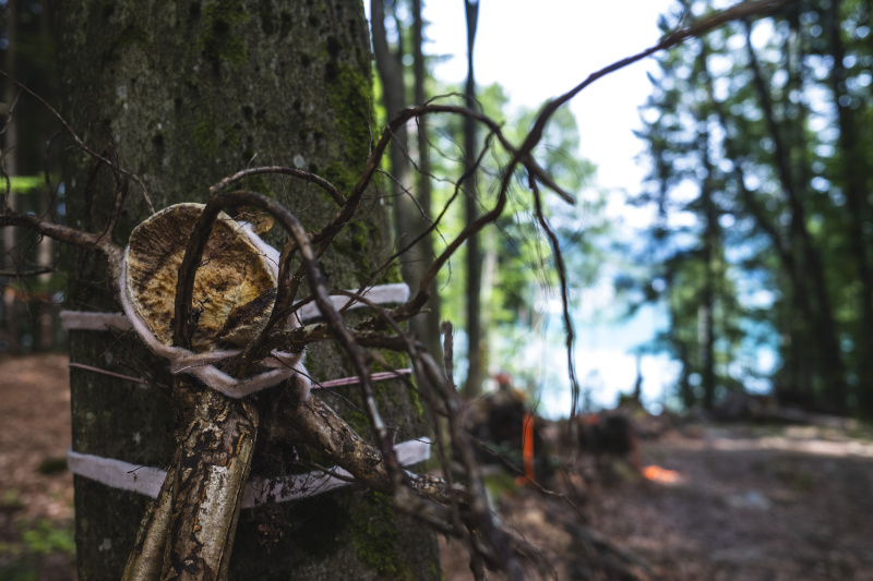 Foto: Philipp Schulz - boxquadrat