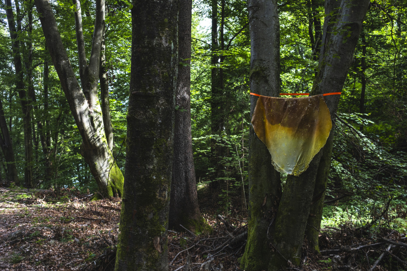 Foto: Philipp Schulz - boxquadrat