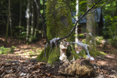 Foto: Philipp Schulz - boxquadrat