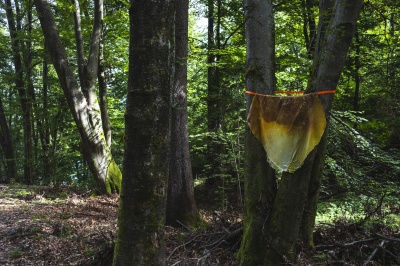 Foto: Philipp Schulz - boxquadrat