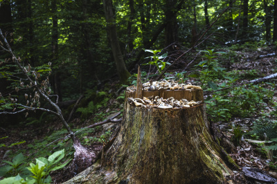 Foto: Philipp Schulz - boxquadrat