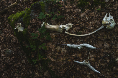 Foto: Philipp Schulz - boxquadrat